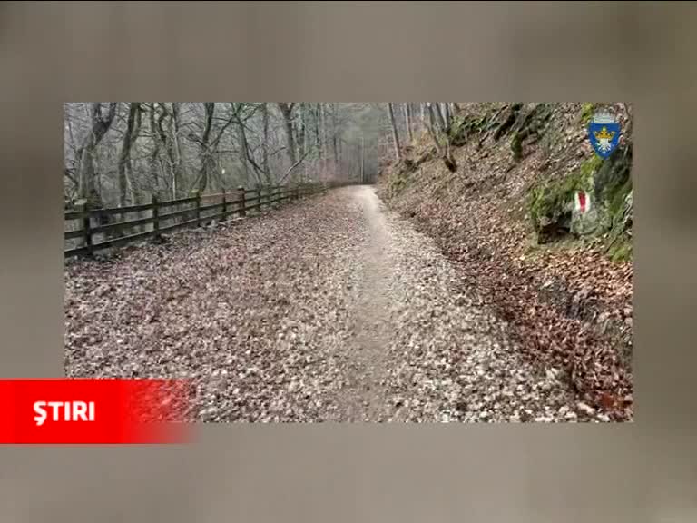 (Ştirile Nova) Jurnal 5 decembrie